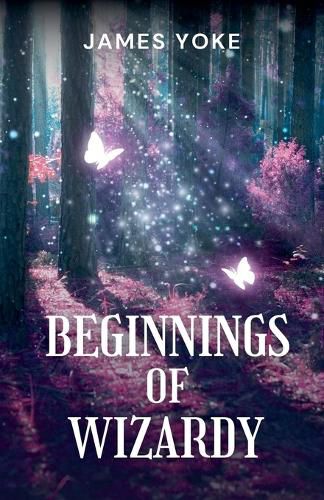 Cover image for Beginnings Of Wizardy