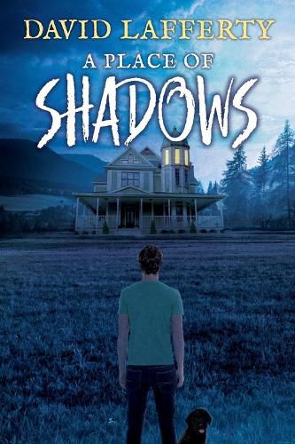 Cover image for A Place of Shadows