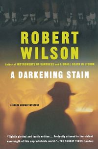 Cover image for A Darkening Stain