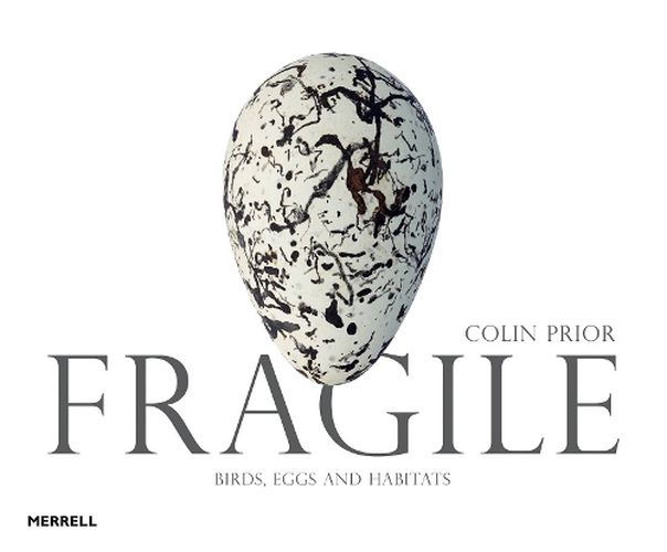 Cover image for Fragile: Birds, Eggs & Habitats