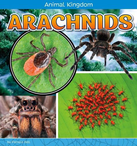 Cover image for Arachnids