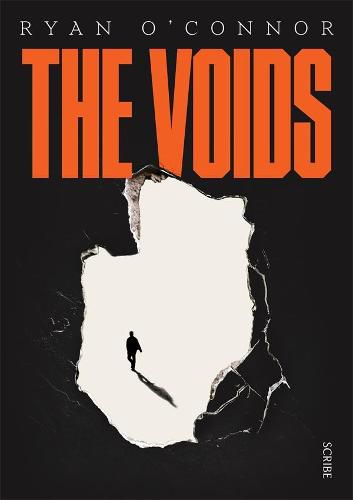 Cover image for The Voids