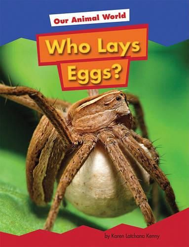 Cover image for Who Lays Eggs?