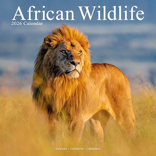 Cover image for African Wildlife Calendar 2026 Square Wildlife Safari Wall Calendar - 16 Month