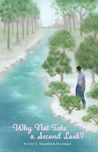 Cover image for Why Not Take a Second Look?