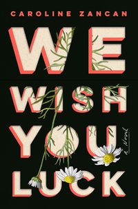 Cover image for We Wish You Luck: A Novel
