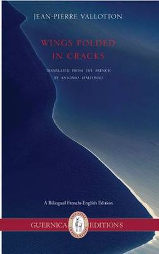 Cover image for Wings Folded in Cracks