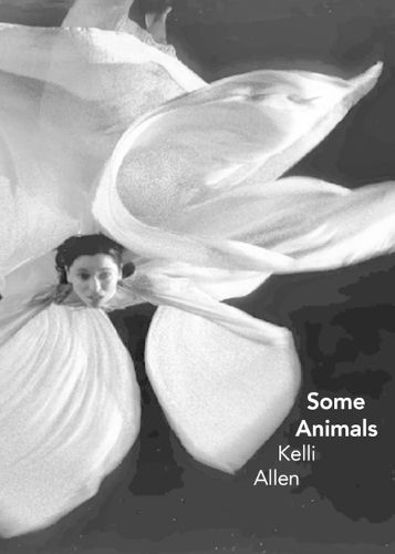 Cover image for Some Animals