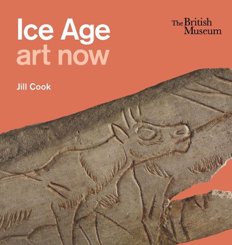 Cover image for Ice Age art now