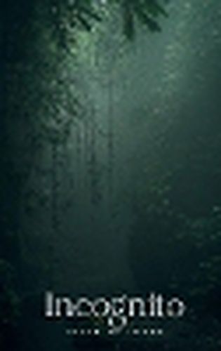 Cover image for Incognito