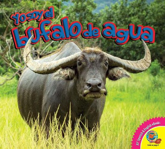 Cover image for El Bufalo de Agua
