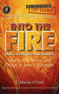 Cover image for Into the Fire