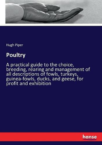 Cover image for Poultry: A practical guide to the choice, breeding, rearing and management of all descriptions of fowls, turkeys, guinea-fowls, ducks, and geese, for profit and exhibition