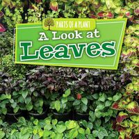 Cover image for A Look at Leaves