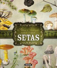 Cover image for Atlas Ilustrado de Las Setas