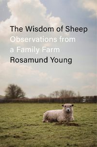 Cover image for The Wisdom of Sheep