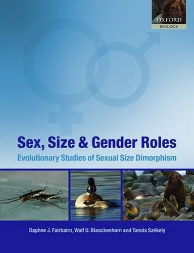 Cover image for Sex, Size and Gender Roles: Evolutionary Studies of Sexual Size Dimorphism