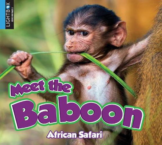 Meet the Baboon