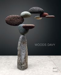 Cover image for Woods Davy