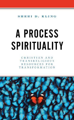 Cover image for A Process Spirituality: Christian and Transreligious Resources for Transformation