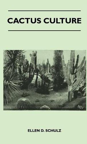 Cover image for Cactus Culture