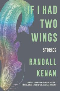 Cover image for If I Had Two Wings: Stories