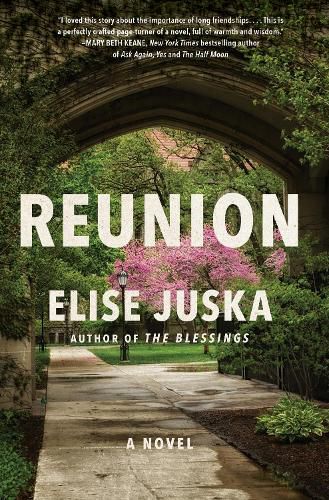 Cover image for Reunion