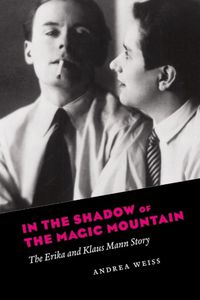 Cover image for In the Shadow of the Magic Mountain