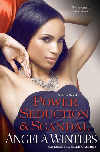 Cover image for Power, Seduction & Scandal: The D.C. Series