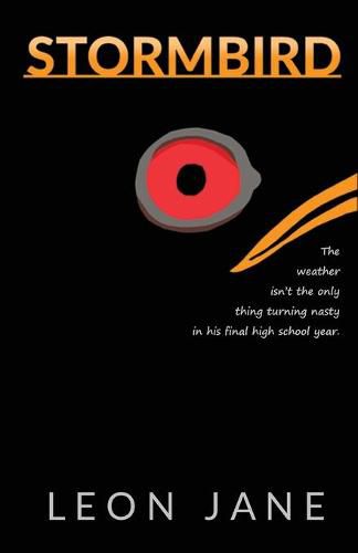 Cover image for Stormbird