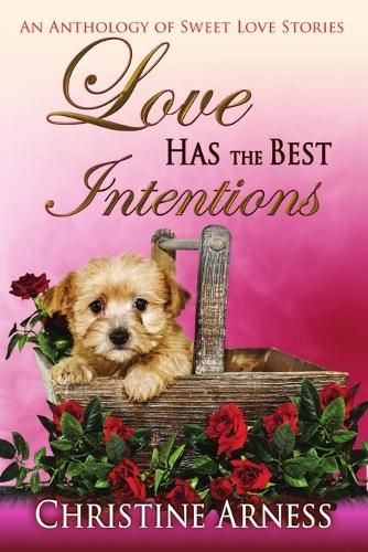 Cover image for Love Has The Best Intentions