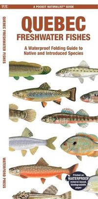 Cover image for Quebec Freshwater Fishes