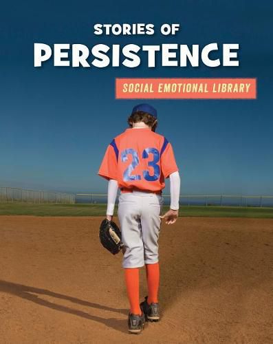 Cover image for Stories of Persistence