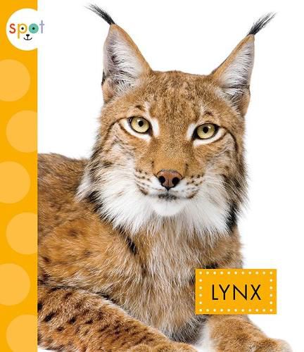 Cover image for Lynx