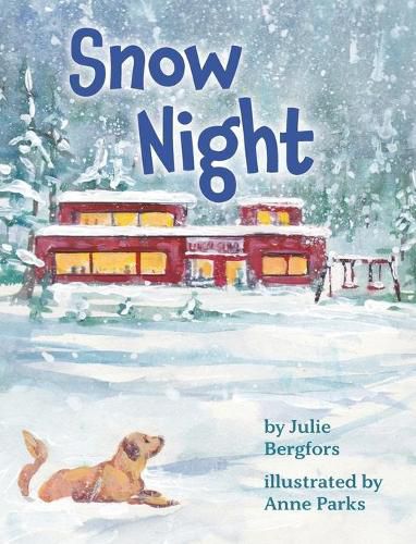 Cover image for Snow Night