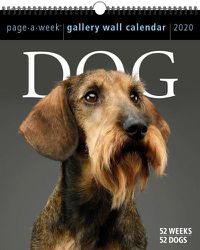 Cover image for Dog Page A Week Gallery Wall Calendar 2020