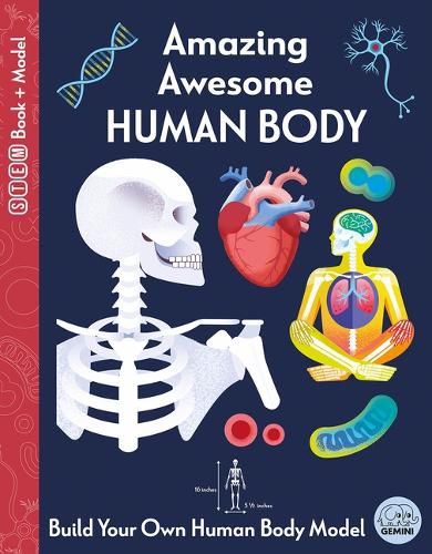 Cover image for Amazing Awesome Human Body