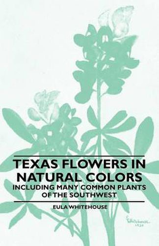 Cover image for Texas Flowers in Natural Colors - Including Many Common Plants of the Southwest