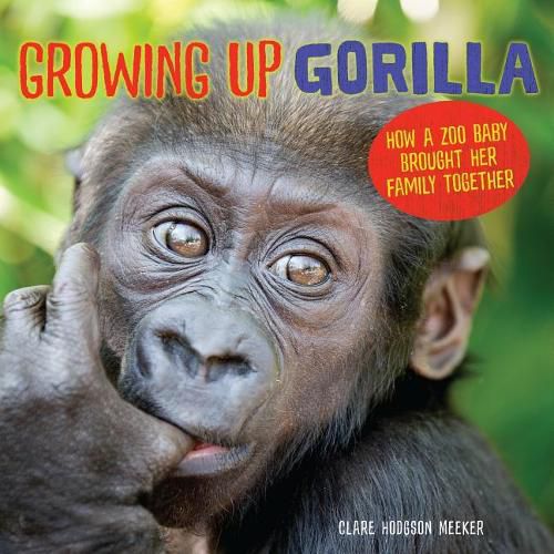 Cover image for Growing Up Gorilla: How a Zoo Baby Brought Her Family Together