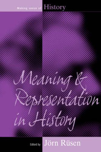 Cover image for Meaning and Representation in History