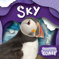 Cover image for Sky