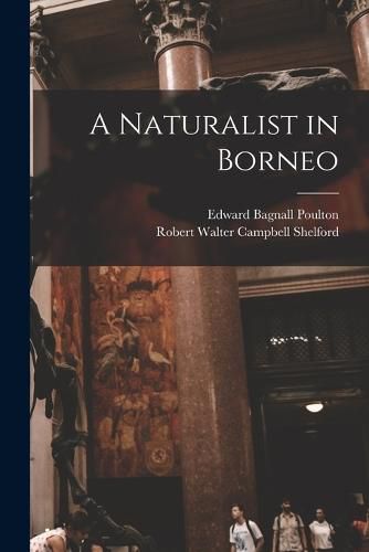 A Naturalist in Borneo