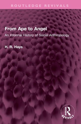 Cover image for From Ape to Angel