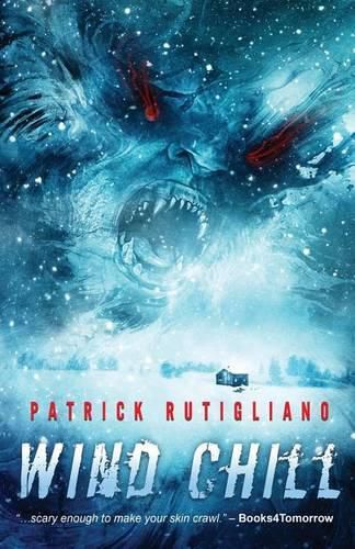 Cover image for Wind Chill
