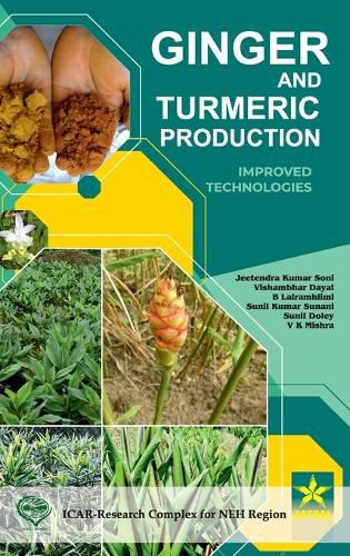 Cover image for Ginger and Turmeric Production: Improved Technologies (Edition1st)