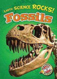 Cover image for Fossils