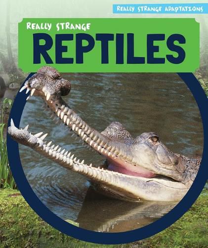 Really Strange Reptiles