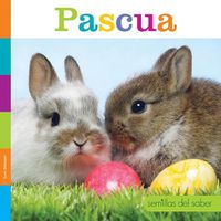 Cover image for Pascua