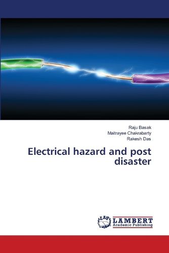 Cover image for Electrical hazard and post disaster