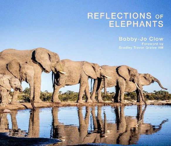 Cover image for Reflections of Elephants